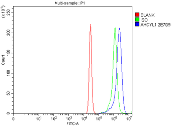 IRBIT/AHCYL1 Antibody (monoclonal, 2E7D9)