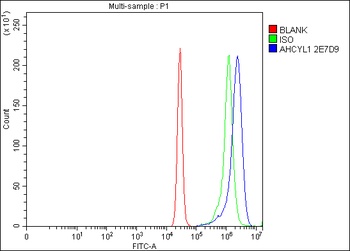 IRBIT/AHCYL1 Antibody (monoclonal, 2E7D9)