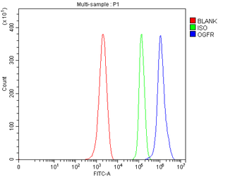 Ogfr Rabbit Polyclonal Antibody