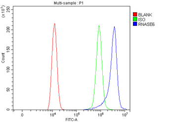 RNASE6 Antibody
