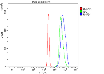 Anti-RNF34 Antibody