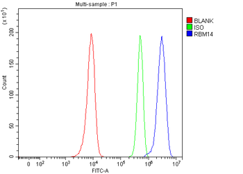 RBM14 Antibody