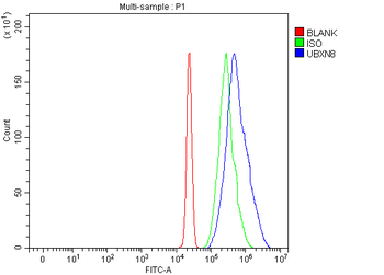 UBXN8 Rabbit Polyclonal Antibody