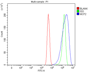Anti-DBL Antibody