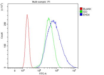 Anti-EHD4 Antibody