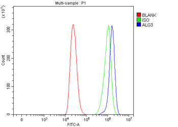 Anti-ALG3 Antibody