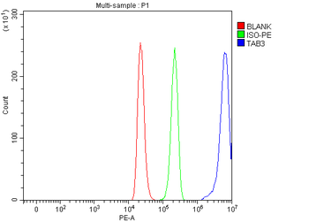 Anti-TAB3 Antibody