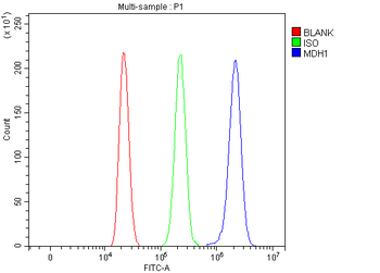 MDH1 Rabbit Polyclonal Antibody