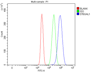 CDw75/ST6GAL1 Rabbit Polyclonal Antibody