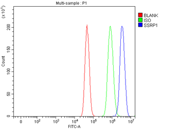 SSRP1 Antibody