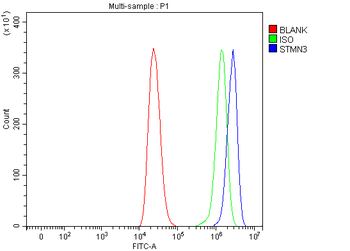STMN3 Rabbit Polyclonal Antibody