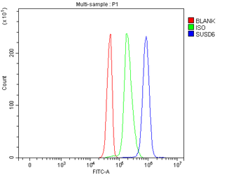 SUSD6 Antibody