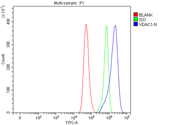 Anti-Porin/VDAC1 Antibody