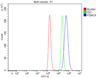 PSMC4 Antibody