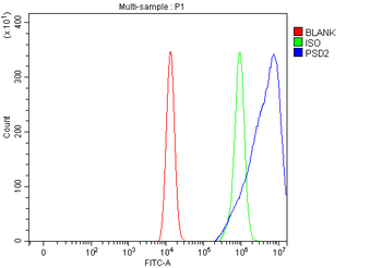 PSD2 Antibody