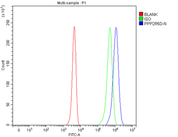 PPP2R5D Antibody