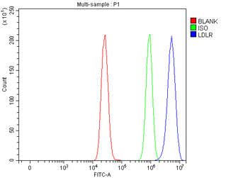 LDLR Rabbit Polyclonal Antibody