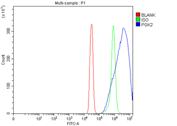 Anti-PGK2 Antibody
