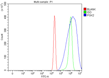 Anti-PGK2 Antibody
