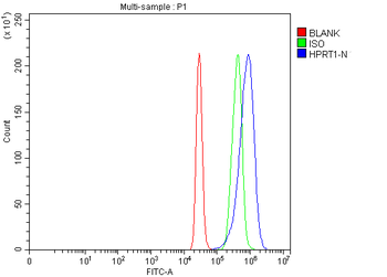 HPRT1 Antibody