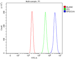 RPS13 Antibody