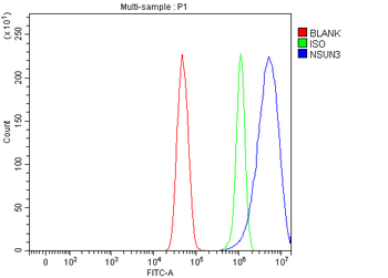 NSUN3 Antibody