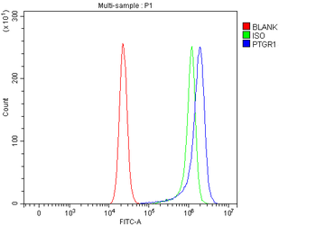 PTGR1 Antibody