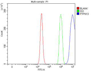 PTPN13 Antibody