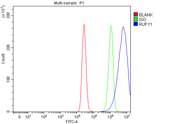 RUFY1 Antibody
