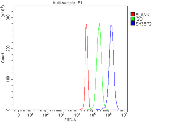 3BP2/SH3BP2 Antibody