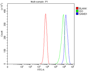 SAMD1 Rabbit Polyclonal Antibody