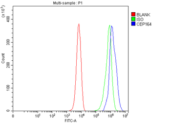 CEP164 Antibody