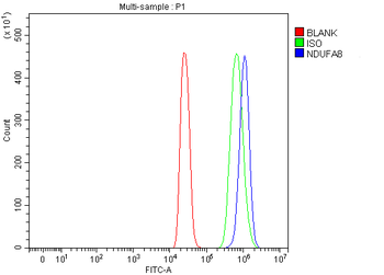 NDUFA8 Antibody