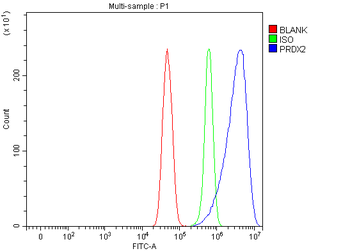 peroxiredoxin 2/PRDX2 Rabbit Polyclonal Antibody
