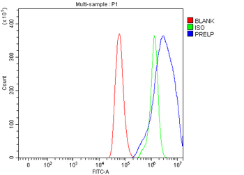 PRELP Rabbit Polyclonal Antibody
