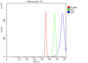 Angiotensinogen/AGT Antibody