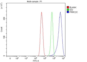 PRRC2C Rabbit Polyclonal Antibody