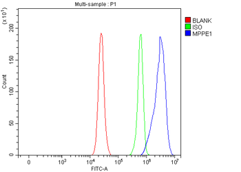 MPPE1 Antibody