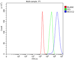 Anti-MCCC2 Antibody