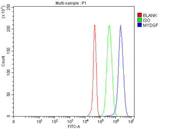 Anti-C19orf10/MYDGF Antibody