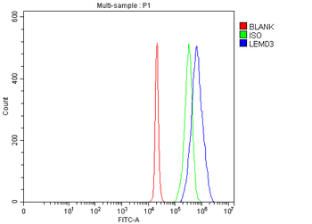 LEMD3 Rabbit Polyclonal Antibody