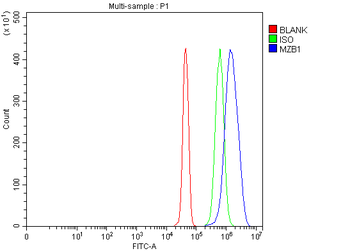 MZB1 Antibody