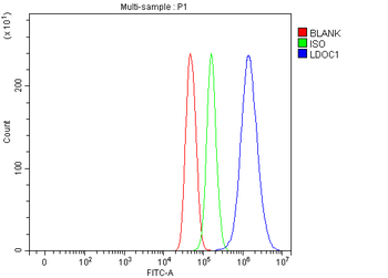 LDOC1 Rabbit Polyclonal Antibody
