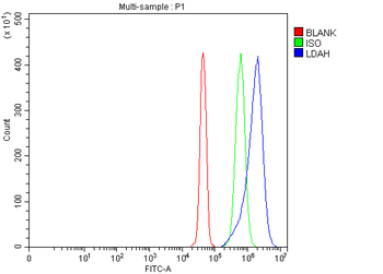 LDAH Antibody