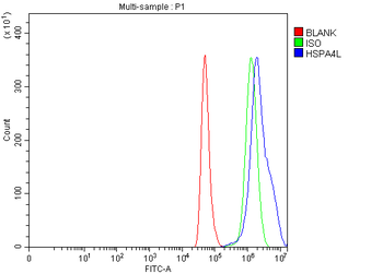 Anti-HSPA4L Antibody