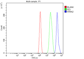 Anti-HTRA2 Antibody