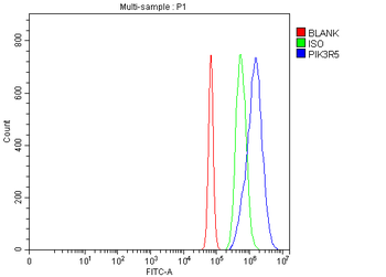 PIK3R5 Antibody
