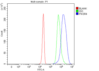 PIK3R4 Rabbit Polyclonal Antibody