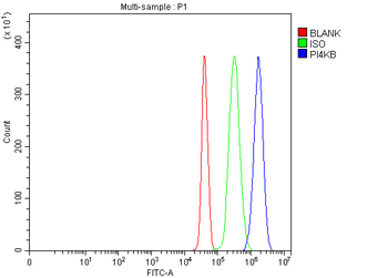 PI4KB Rabbit Polyclonal Antibody