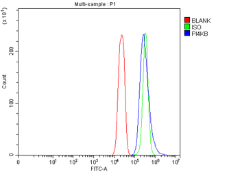 Anti-PI4KB Antibody